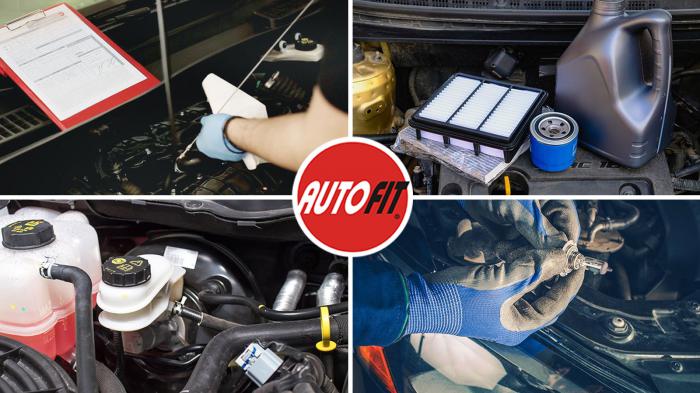 Η Autofit, με πάνω από 66 σημεία εξυπηρέτησης σε όλη την Ελλάδα και παρουσία σε περισσότερες από 14 χώρες, έχει καθιερωθεί ως η πρώτη επιλογή για την τεχνική υποστήριξη και συντήρηση αυτοκινήτων.