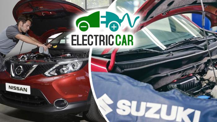 Electro Car Services:   Nissan & Suzuki   ; 