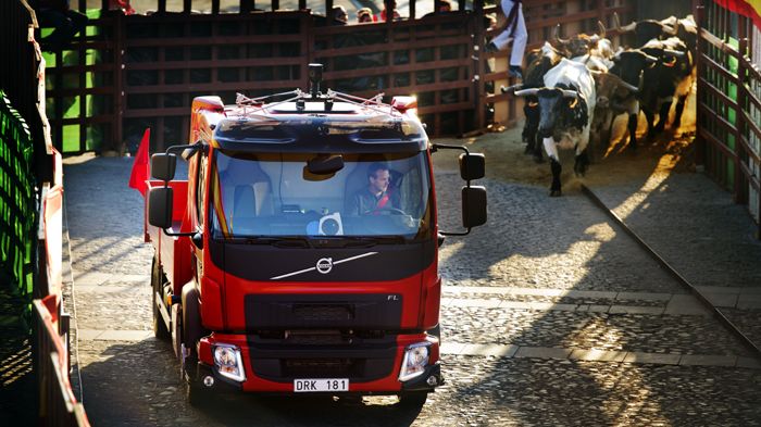 Το νέο Volvo FL έπρεπε να διατηρήσει μια ταχύτητα 30 χλμ./ώρα απλώς και μόνο για να διατηρηθεί μπροστά από το κοπάδι των ταύρων που το καταδίωκε.