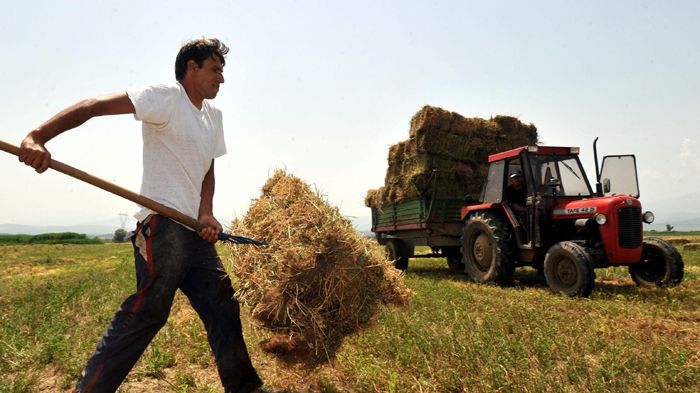 Νέο πρόγραμμα για τη στήριξη 8.500 νέων αγροτών