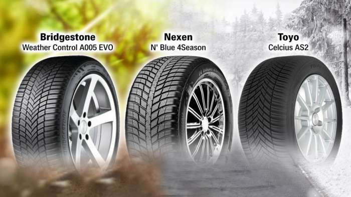 ALL SEASON BRIDGESTONE NEXEN TOYO