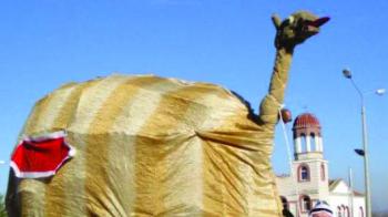 Η στολισμένη καμήλα της Ελλάδας
