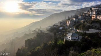 Eκδρομή στην κατάφυτη Τσαγκαράδα